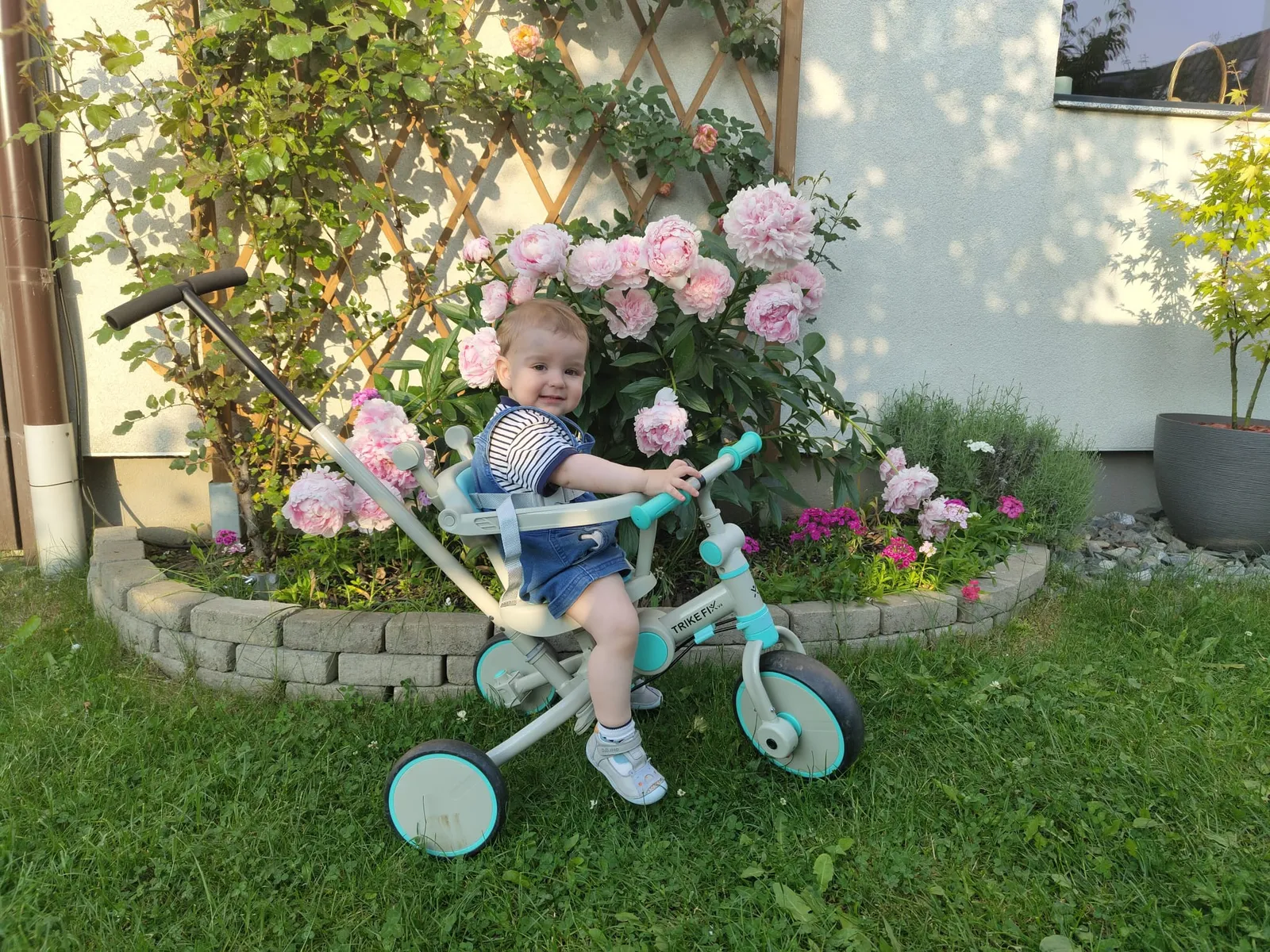 Camp cu Flori